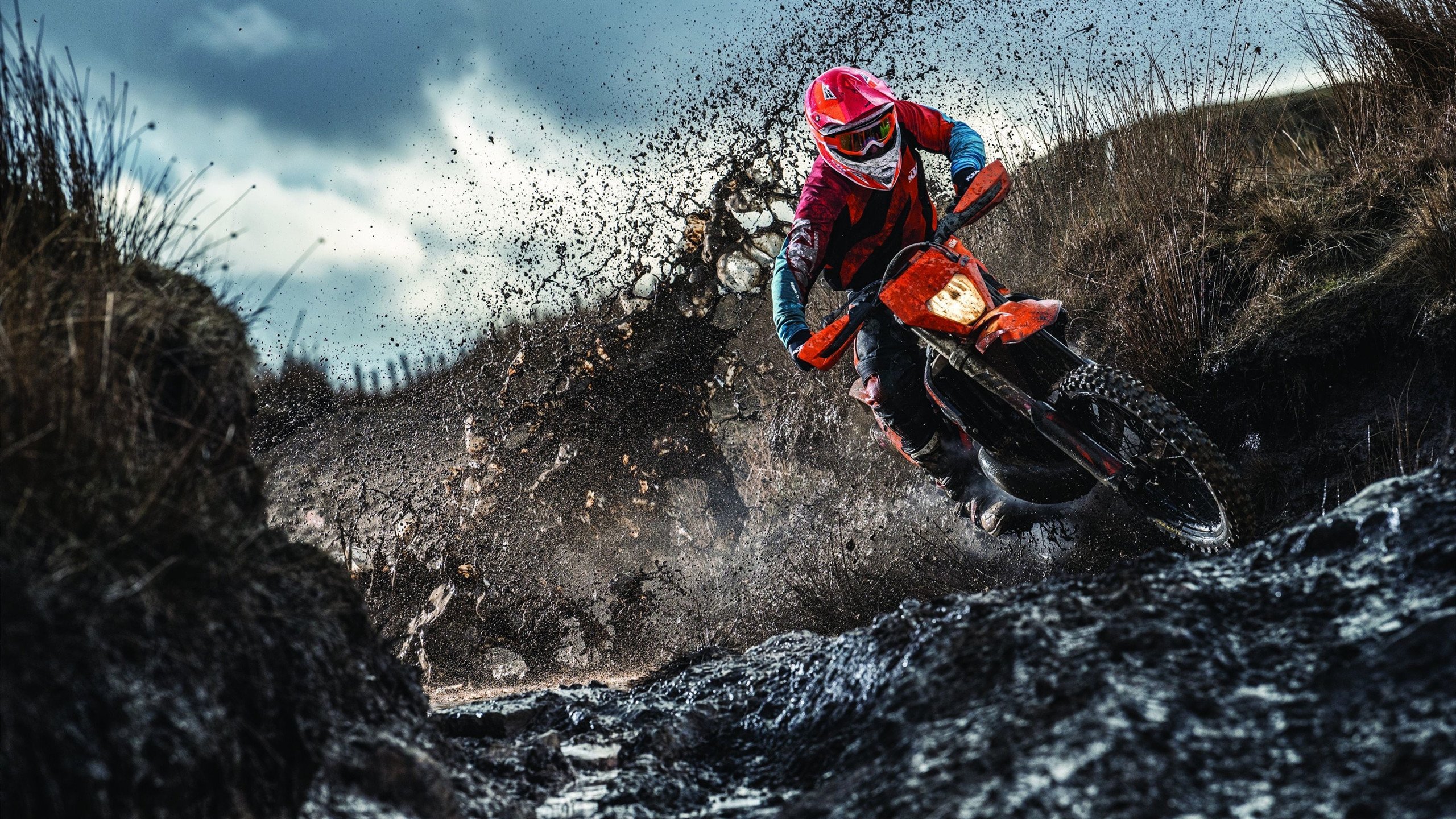 九游体育官网入口-韩国星际争霸赛事转播平台升级，星际争霸韩国直播间